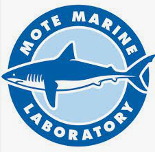 World Oceans Day at MOTE Marine Laboratory & Aquarium logo